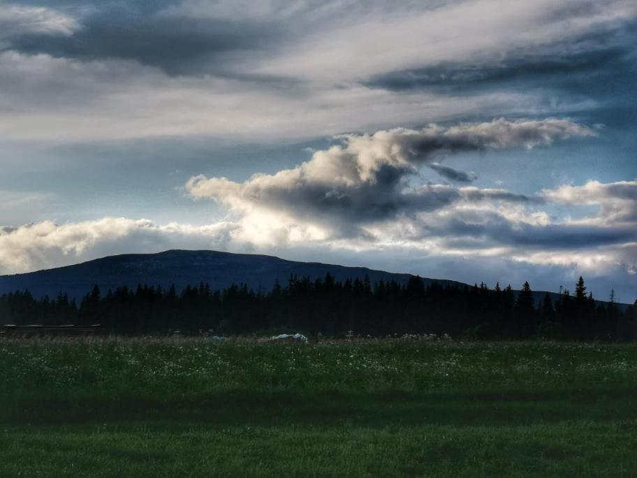 Villa Pokoje U Kasi I Marcina à Lipnica Wielka Extérieur photo