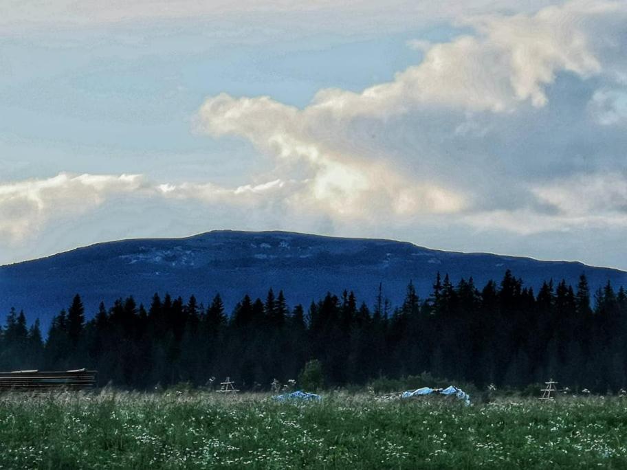 Villa Pokoje U Kasi I Marcina à Lipnica Wielka Extérieur photo